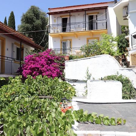 Antigone Apartments Kassiopi Exterior photo